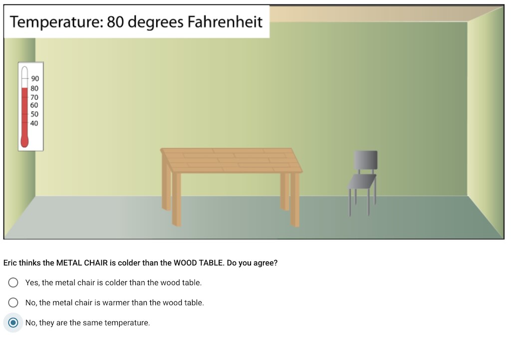 Multiple Choice Activity Student View